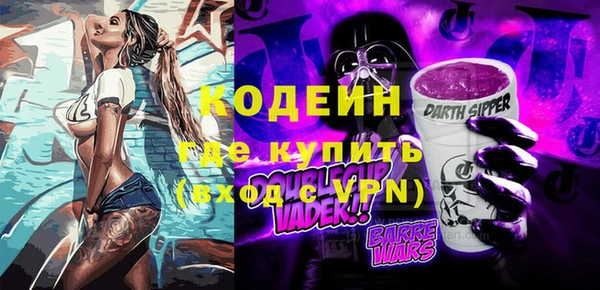 мдпв Елабуга