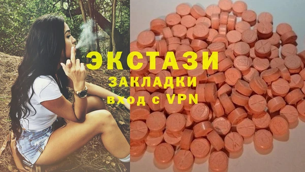 2c-b Ельня