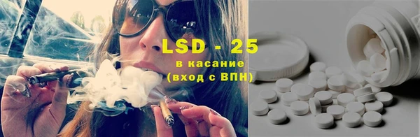 мдпв Елабуга
