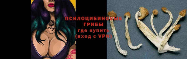 2c-b Ельня