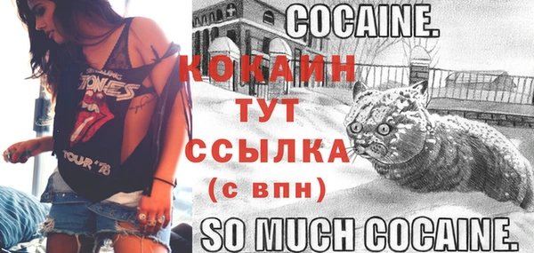 2c-b Ельня