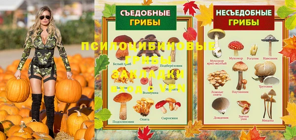 2c-b Ельня
