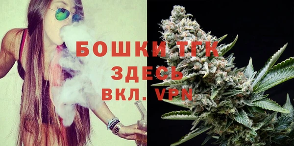 2c-b Ельня