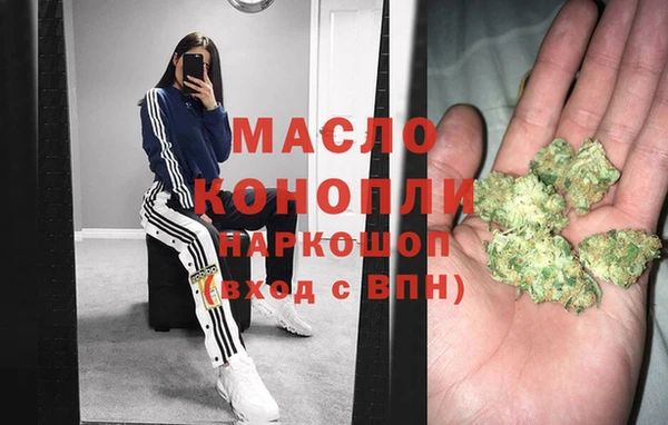 2c-b Ельня