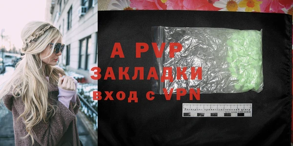 мдпв Елабуга