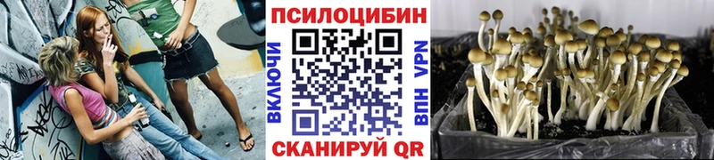 Галлюциногенные грибы Psilocybe  OMG как войти  Альметьевск 